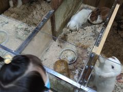 -上海大自然野生昆虫馆(东方明珠·爬宠昆虫探索中心)