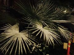 -建德花园海棠苑