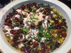 水煮乌鱼-周正水煮活鱼·吊水鱼(万科店)