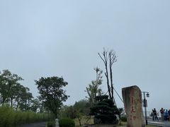 -江南天池