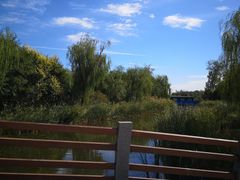 -武清南湖绿博园