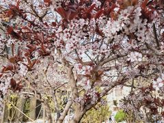 -无名居(西直门总店)