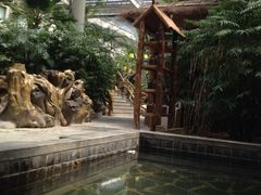 iphone_upload_pic-龙达温泉生态城