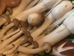 -辉哥火锅(虹桥路店)