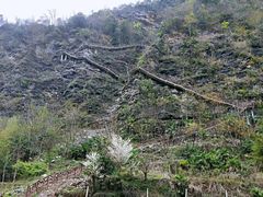 -鹿院坪生态旅游景区