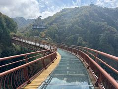 -少华山国家森林公园