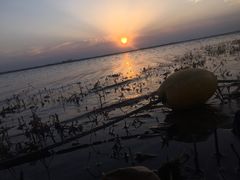-金沙湖旅游度假区