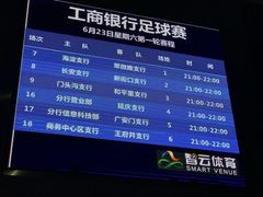 -中关村软件园智云足球场