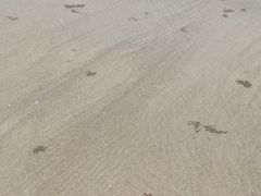 -南澳海滩