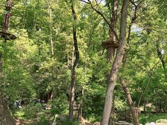 -WeLope紫金山探险公园