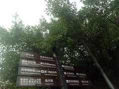 -叶氏麻糍(鼓浪屿店)