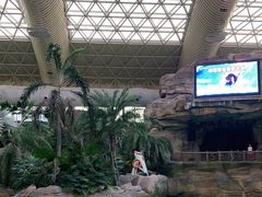 -杭州开元森泊度假乐园