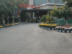-天怡·鱼工厂(梅溪湖店)