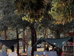 -南宁良凤江国家森林公园