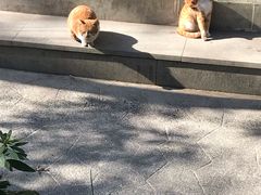 -杭州黄龙洞