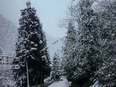 -西岭雪山大飞水景区
