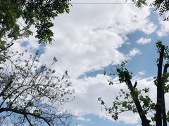 -北京赛佳动物医院