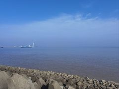 -上海滨江森林公园