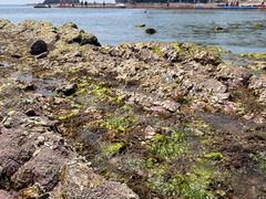 -大连金石滩滨海国家地质公园