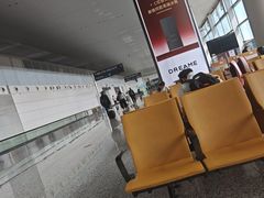 -广州白云国际机场-T2航站楼
