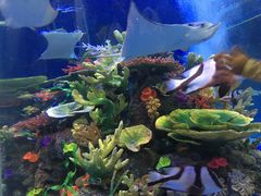 -成都浩海立方海洋公园