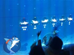 -沈阳海洋探索中心