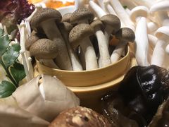 -洪氏嗨捞·猪肚鸡火锅(阳光天地店)