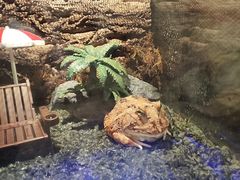 -太平洋海底世界