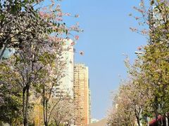 -狐尾山公园