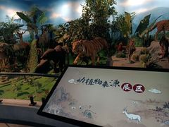 -广东中医药博物馆
