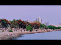 -深圳湾公园(南山区)