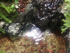 -瑞派名望24h动物医院异宠专科·猫专科·骨科·重症监护分院