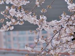 -南浦大桥长途旅游客运站