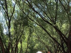 -野鸭湖国家湿地公园