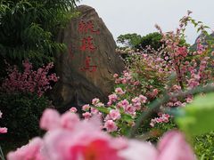 -桃花岛风景旅游区