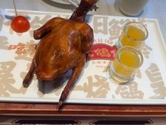 -大鸽饭(岗顶店)