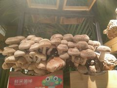 -大头椰·椰子鸡火锅(南宁万象城店)