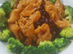 花胶扒海参-龙悦湾酒家·八阵鱼生·渔人码头店