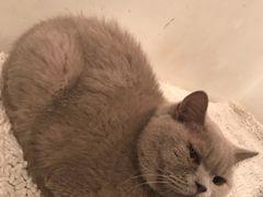 -小时光咖啡馆(北锣鼓巷店)