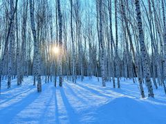 -北极村旅游风景区