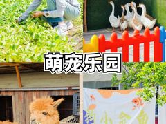 -栖露营camping·天幕烧烤·团建拓展·采摘营地