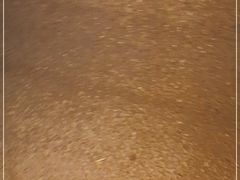 -小龙坎老火锅(北京三里屯店)