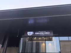 -喜马拉雅森HIMALAYAN FOREST