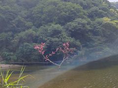 -少华山国家森林公园