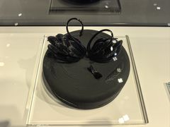 -BLACKSWAN黑天鹅(环球店)