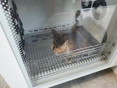 -宠颐生动物医院·心脏科·保险定点(锦阳分院)