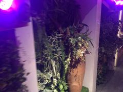 -巢爷老味(东方红店)