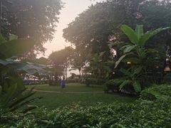 -卷心菜和避孕套餐厅(Pattaya)