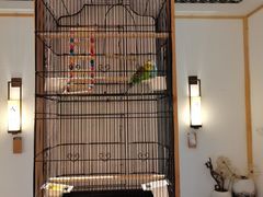 -瓦舍茶馆(聚源路店)