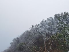 -金子山原生态旅游风景区